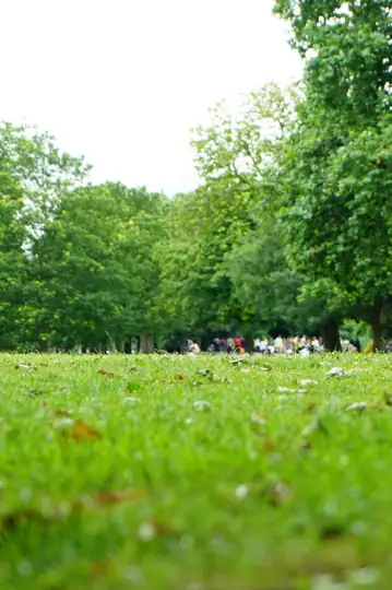 Man on a Park Bench