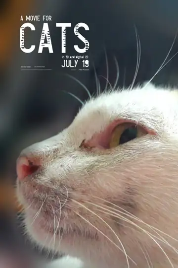 A Movie For Cats