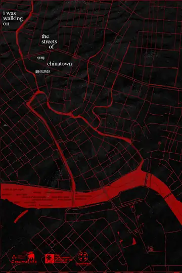 I Was Walking on the Streets of Chinatown