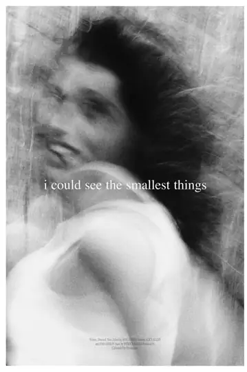 I Could See the Smallest Things