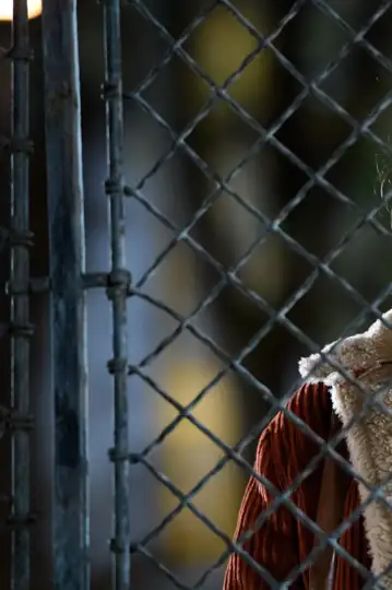 About Life and Death