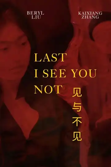 Last I See You Not