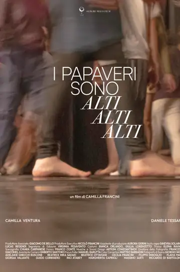 I papaveri sono alti alti alti