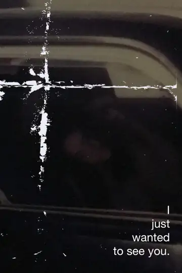 I Just Wanted to See You