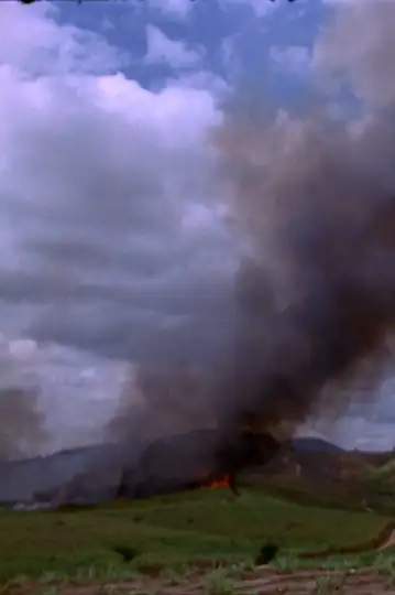 These Ways I Transgress