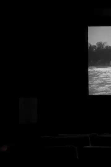 I have seen the future