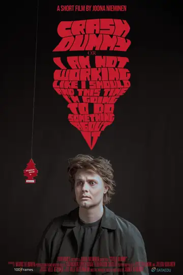 Crash Dummy or I'm Not Working Like I Should and This Time I'm Going to Do Something About It