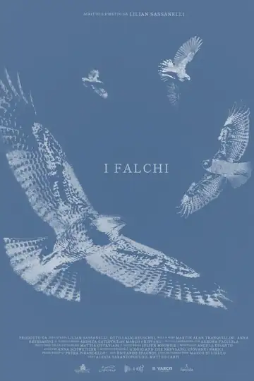 I falchi
