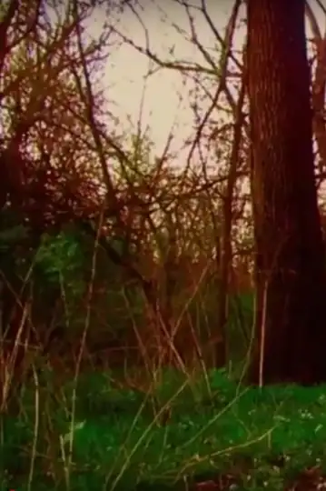 For a Minute There, I Lost Myself