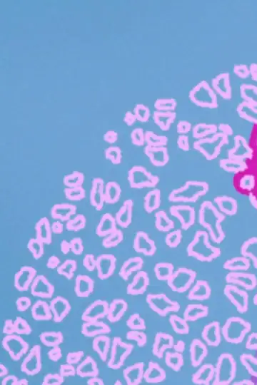 How Can I Be More Normal?