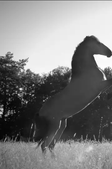 How was I supposed to know