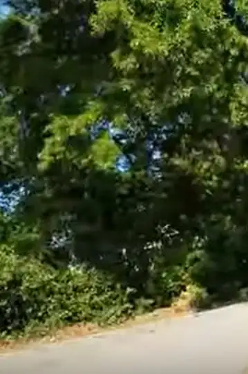 I Appreciate by: Polo Don Red