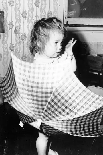 Am I Crazy? My journey to determine if my memories are true (2022 revision)