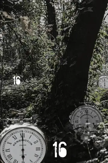 Something Happened When I Was Sixteen