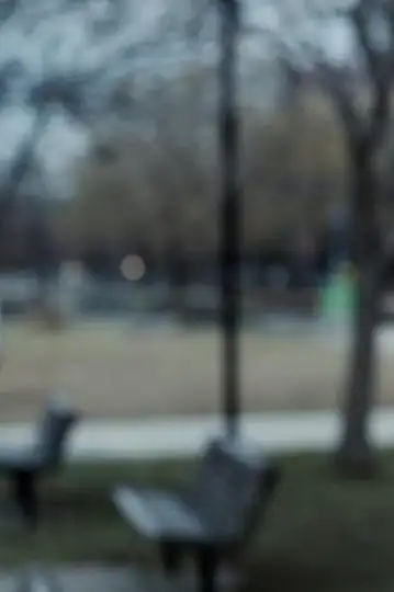 White Donkey, Natasha, and I