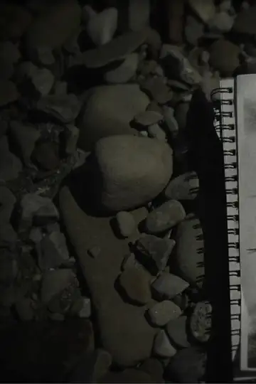 I Wish You Were Real