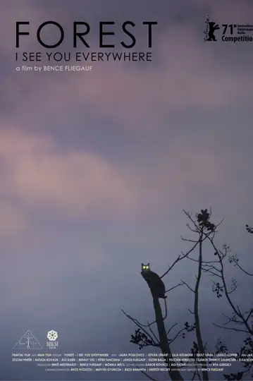 Forest: I See You Everywhere