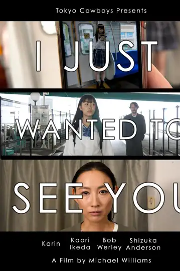 I Just Wanted to See You