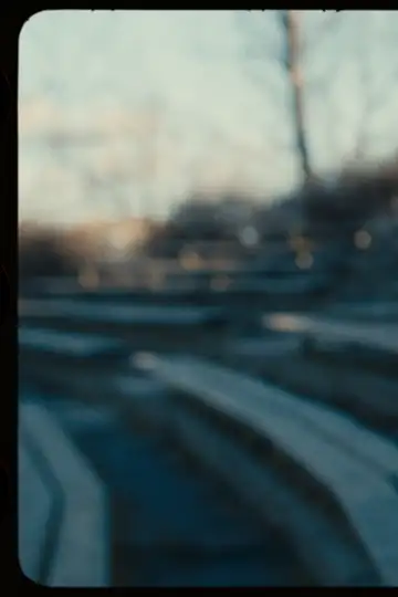 Tribe Friday: If I Were You