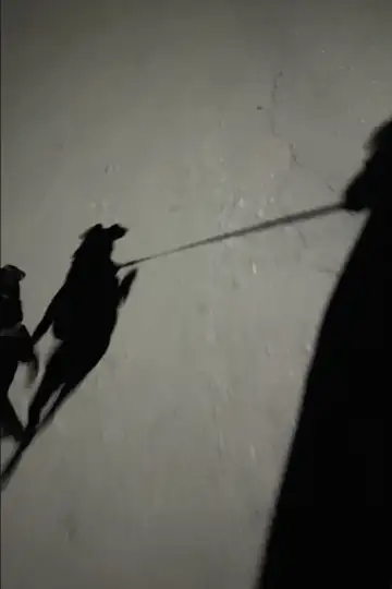 I Can Hear My Footsteps