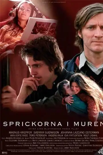 A Breach in the Wall