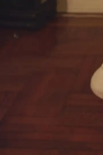 Dear Dog, I Love You