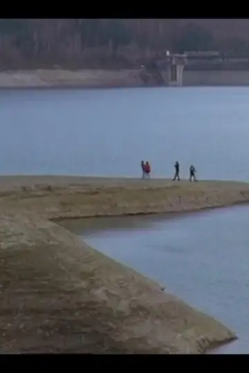 O mie de lucruri in comun