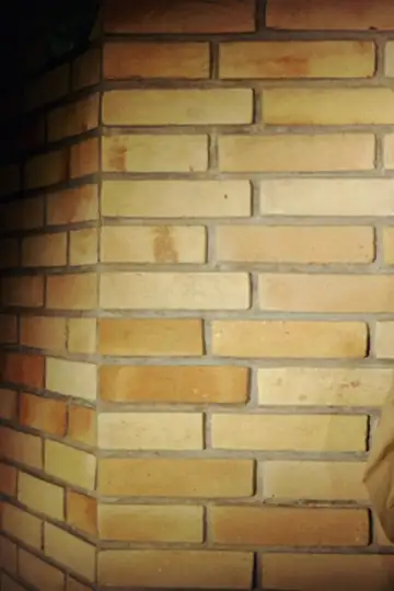 O Desaparecimento de Scott Baio