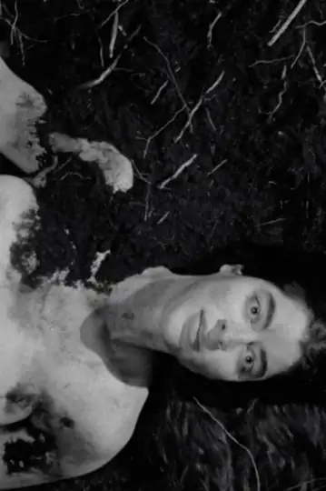 Kintsukuroi o donde nacen los árboles