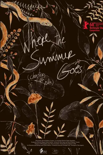 Where the Summer Goes (Chapters on Youth)