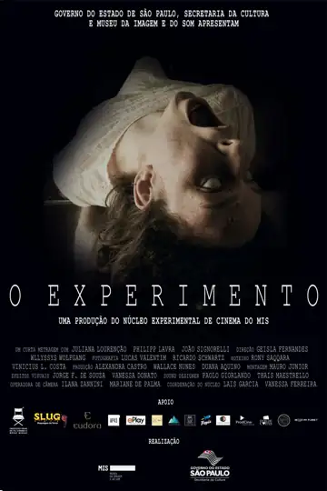 O Experimento