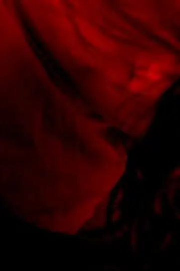 Fagiolino e il cavaliere