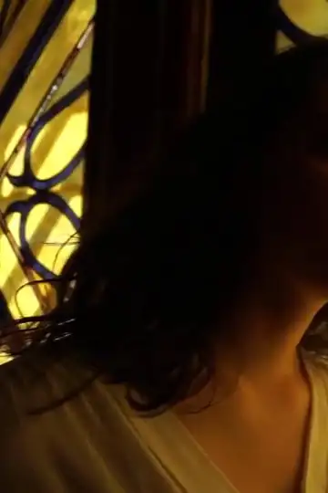 Di nascosto: Il liutaio la diva e il poeta