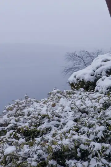 Leaning Out - An Intimate Look at Twin Towers Engineer Leslie E Robertson
