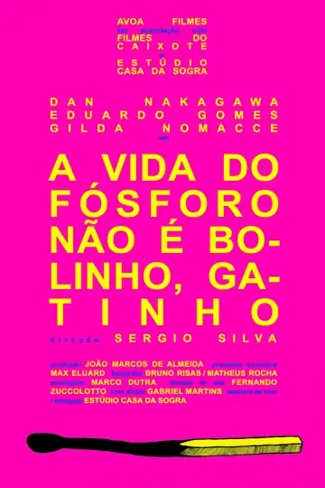 A Vida do Fósforo Não É Bolinho, Gatinho