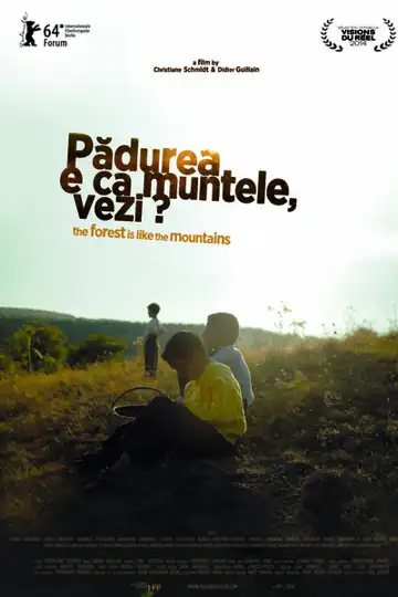 The Forest Is Like the Mountains