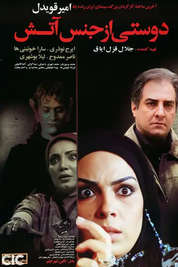 A Friend Made of Fire