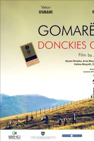 Donkeys of the Border