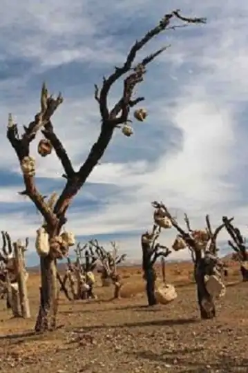 The Oldman and His Garden of Stones