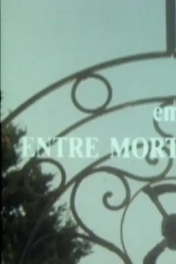 Entre Mortos e Vivos