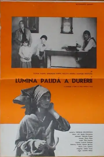 Lumina palida a durerii