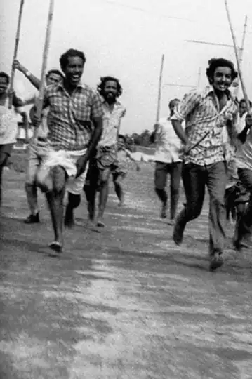 Donkey in a Brahmin Village