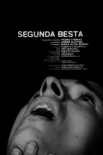 A Segunda Besta