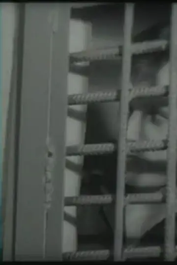 I Will Advocate Myself