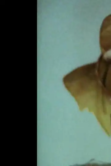 Little Mouse and the Red Sun