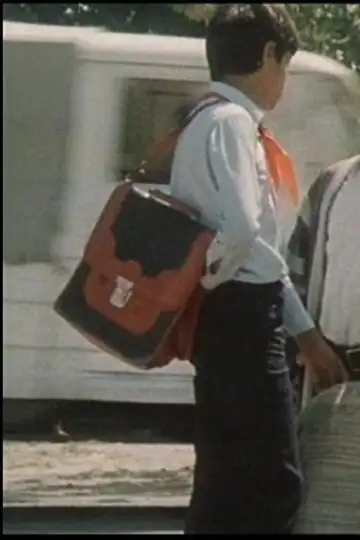 Dnevnik, pismo i pervoklassnitsa