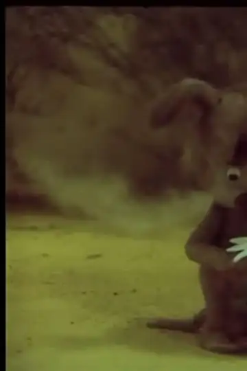 Little Mouse and Cat