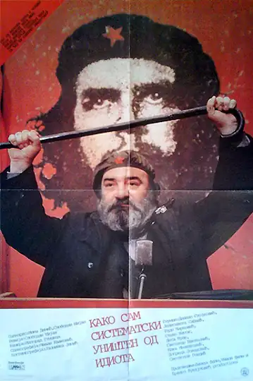 How I Was Systematically Destroyed by an Idiot