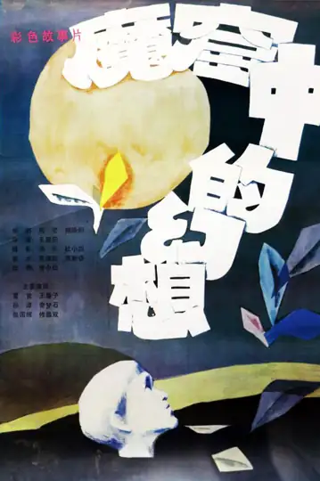 Visions from a Prison Cell