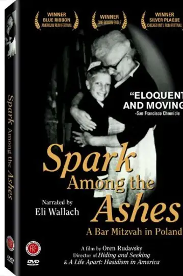 Spark Among the Ashes: A Bar Mitzvah in Poland